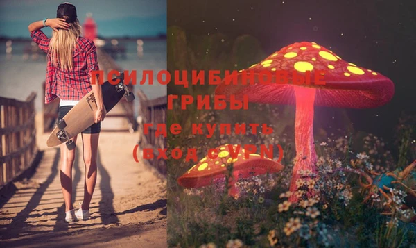 соль ск Надым