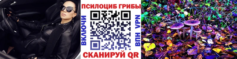 Галлюциногенные грибы Psilocybine cubensis  darknet наркотические препараты  Починок 